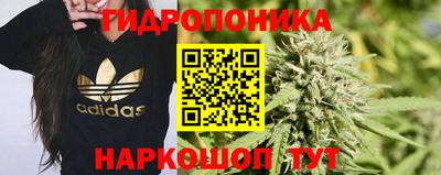 спайс Кунгур