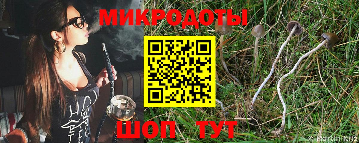 как найти наркотики  Вход с VPN  Воткинск  Галлюциногенные грибы мицелий  Псилоцибиновые грибы мухоморы 